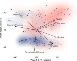 Introduced herbivores restore Late Pleistocene ecological functions