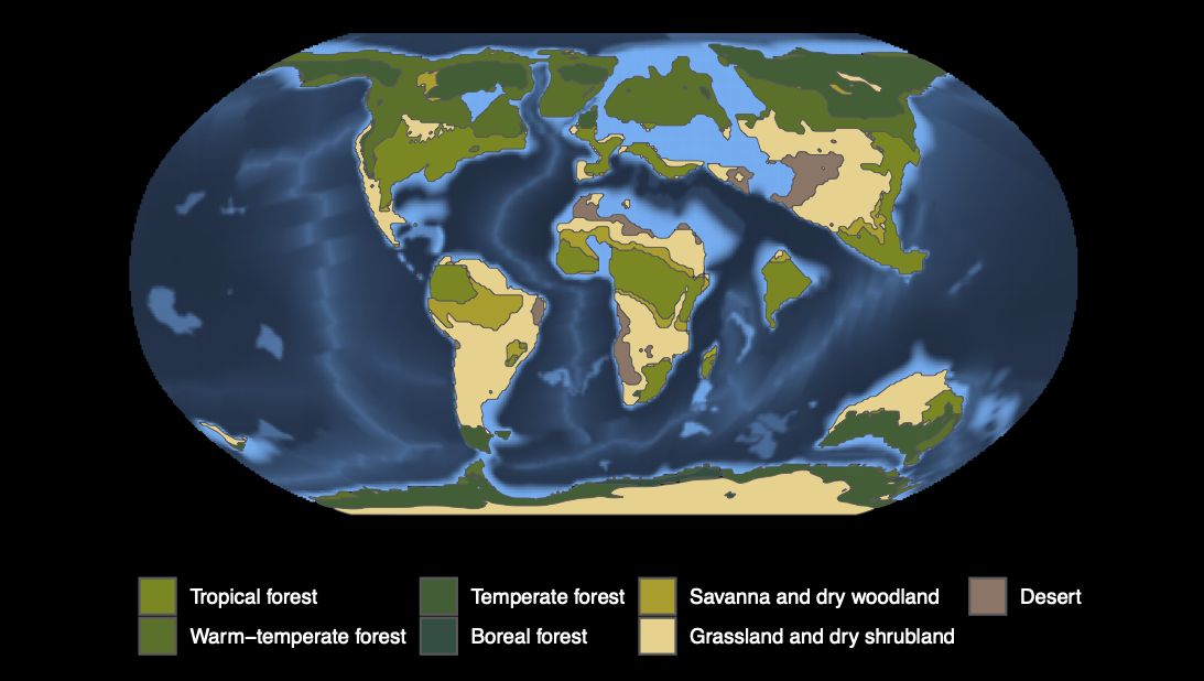Eocene vegatation map